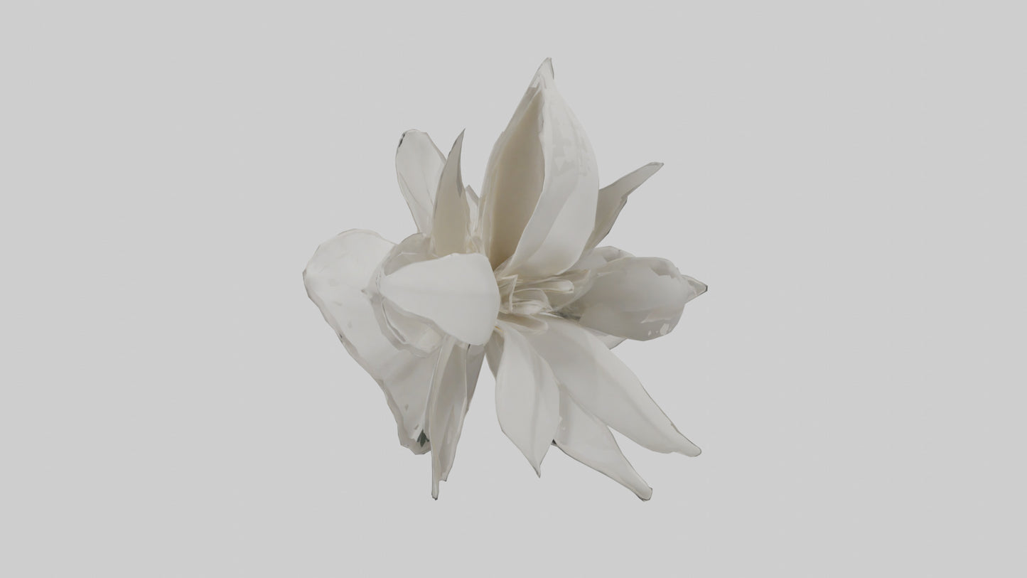 3D model Gardenia model VR / AR / low-poly