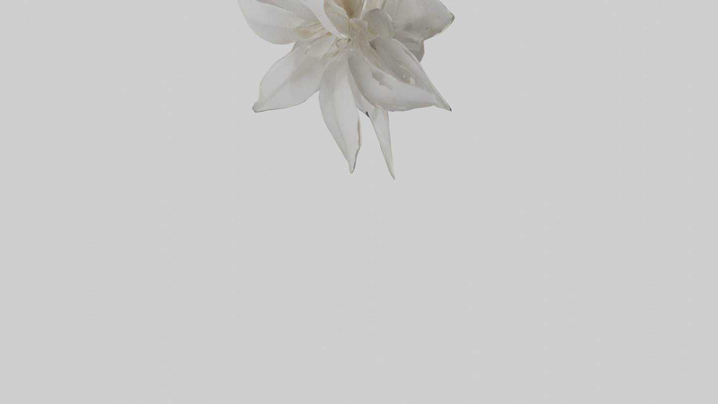 3D model Gardenia model VR / AR / low-poly