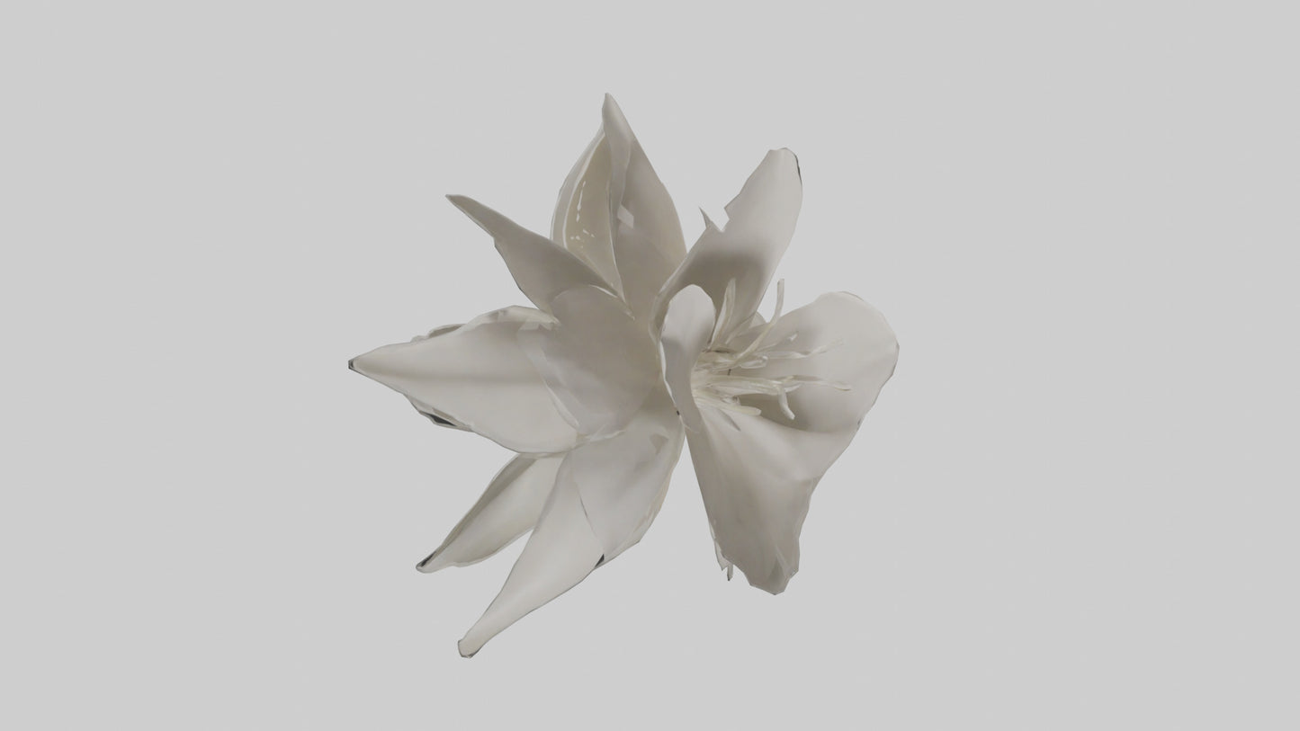 3D model Gardenia model VR / AR / low-poly