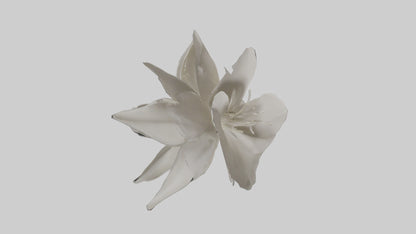 3D model Gardenia model VR / AR / low-poly