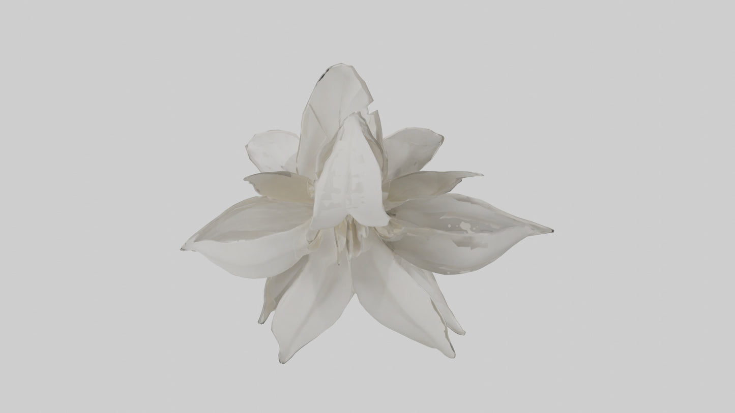 3D model Gardenia model VR / AR / low-poly