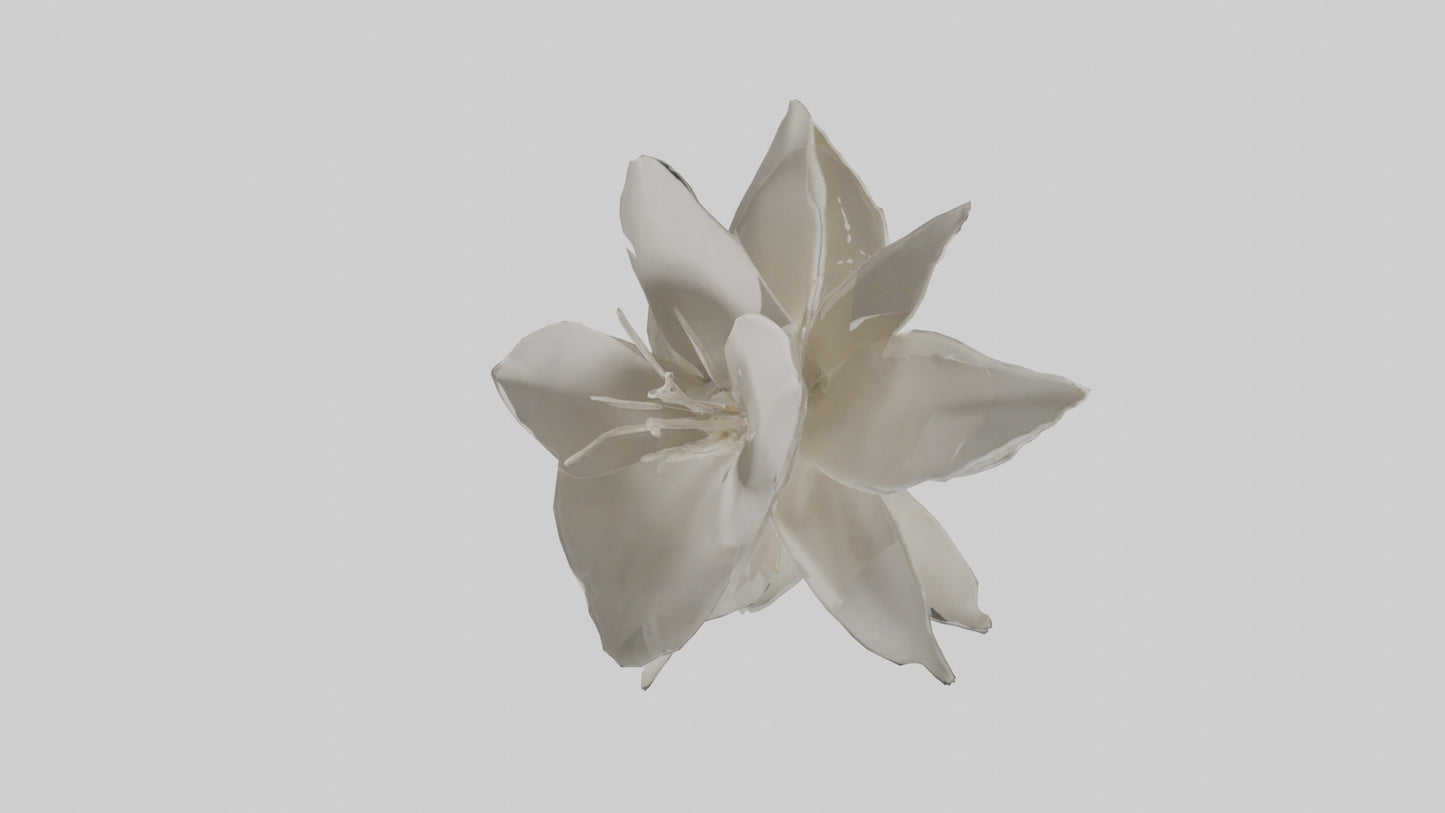 3D model Gardenia model VR / AR / low-poly