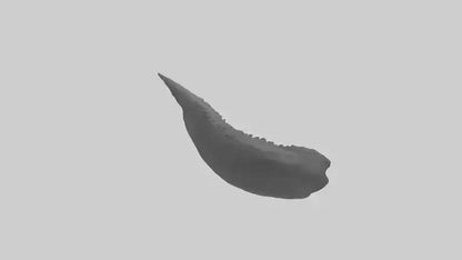 3D model Gator Tail Model VR / AR / low-poly