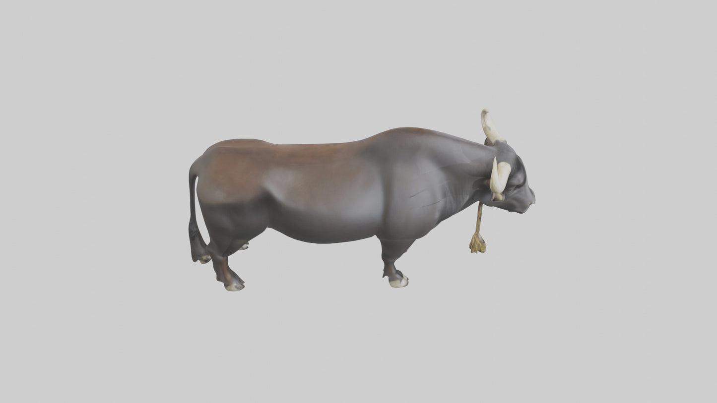 Gaur grazing model 3D model