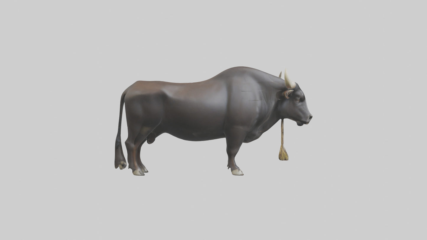 Gaur grazing model 3D model