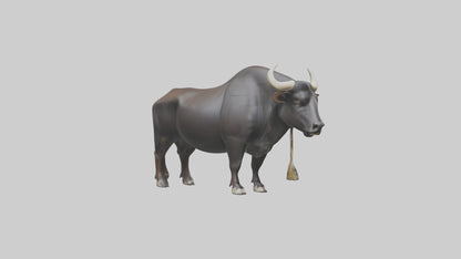 Gaur grazing model 3D model