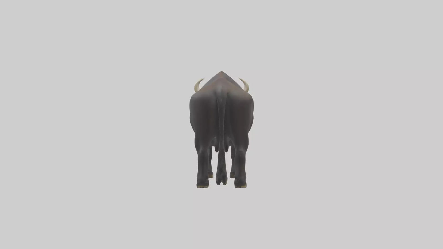 Gaur grazing model 3D model