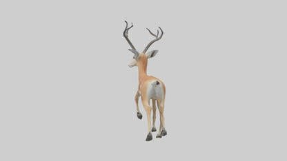 3D model Gazelle bounding model VR / AR / low-poly