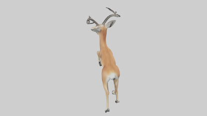 3D model Gazelle bounding model VR / AR / low-poly