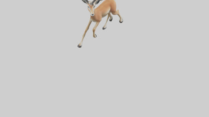 3D model Gazelle bounding model VR / AR / low-poly