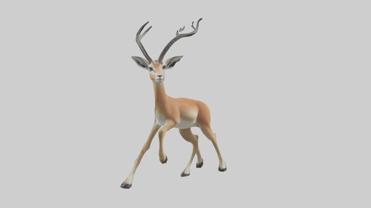 3D model Gazelle bounding model VR / AR / low-poly