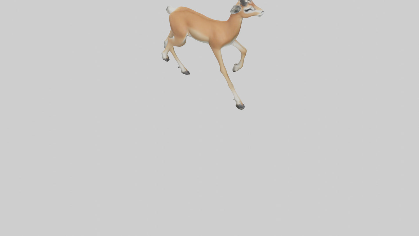 3D model Gazelle bounding model VR / AR / low-poly