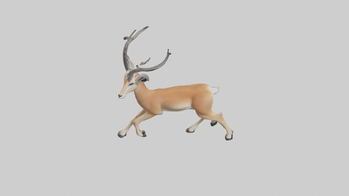 3D model Gazelle bounding model VR / AR / low-poly