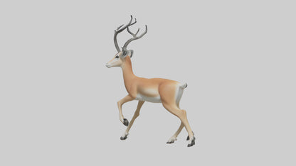 3D model Gazelle bounding model VR / AR / low-poly