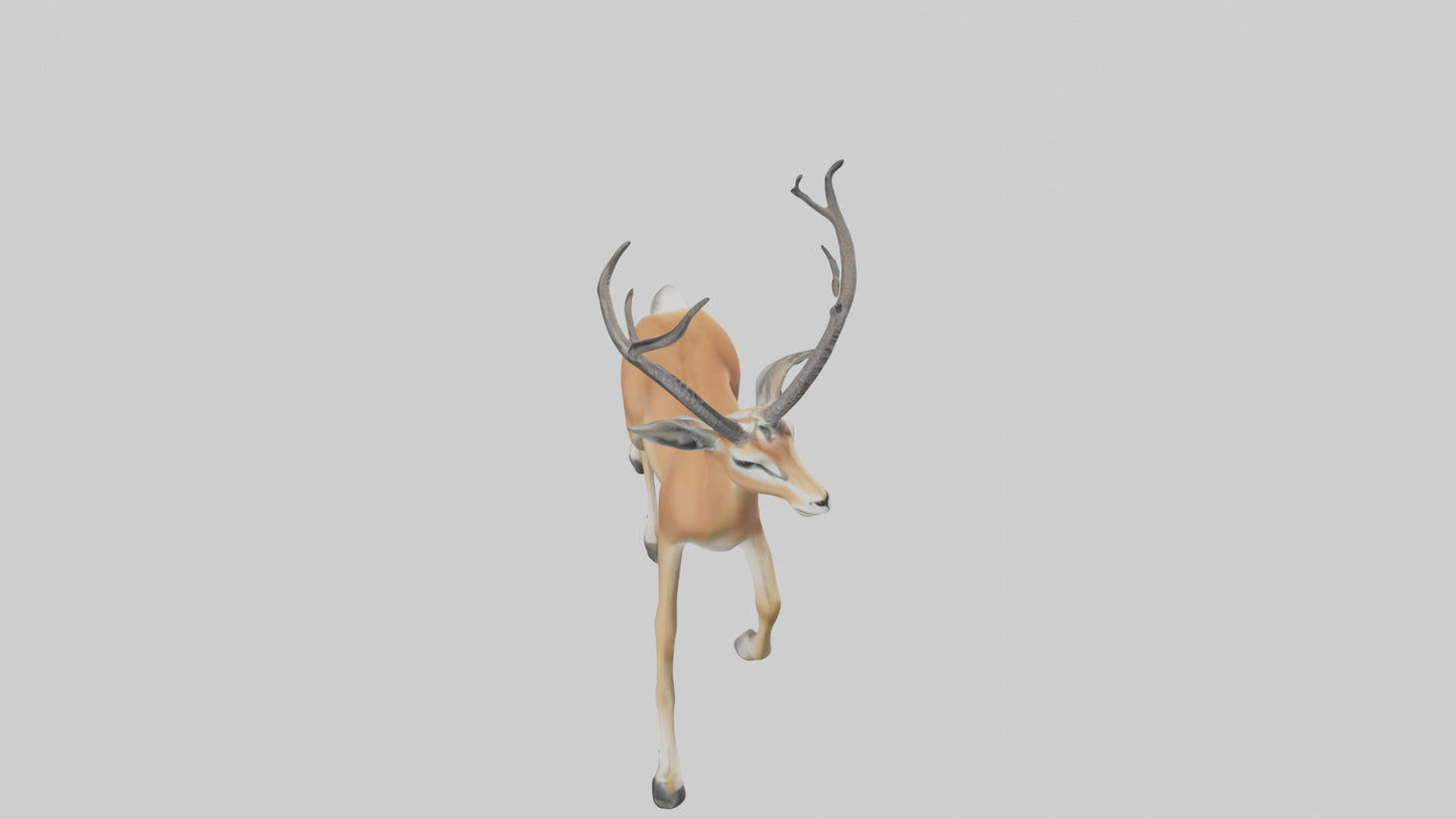 3D model Gazelle bounding model VR / AR / low-poly