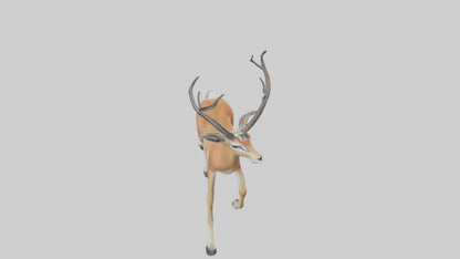 3D model Gazelle bounding model VR / AR / low-poly