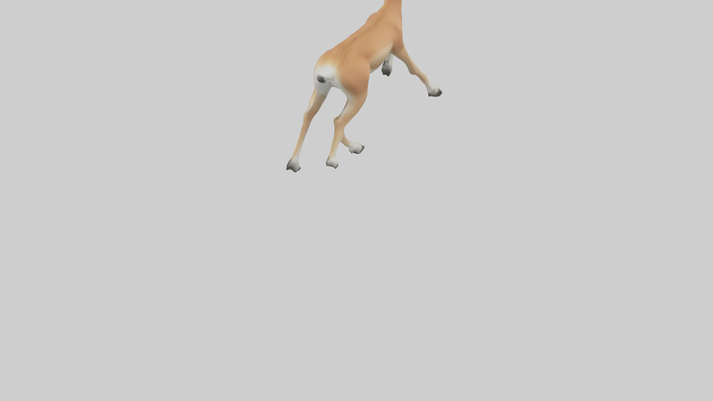 3D model Gazelle bounding model VR / AR / low-poly