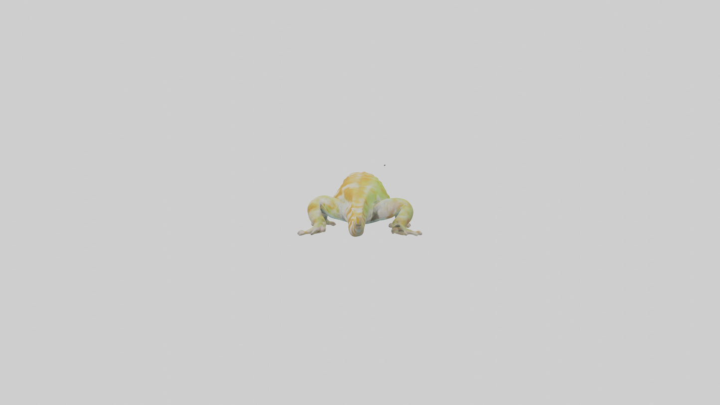 3D model Gecko climbing model VR / AR / low-poly