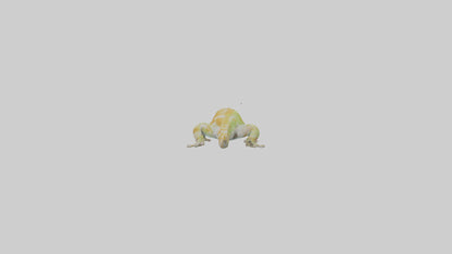3D model Gecko climbing model VR / AR / low-poly