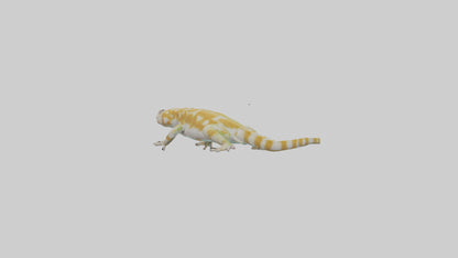 3D model Gecko climbing model VR / AR / low-poly