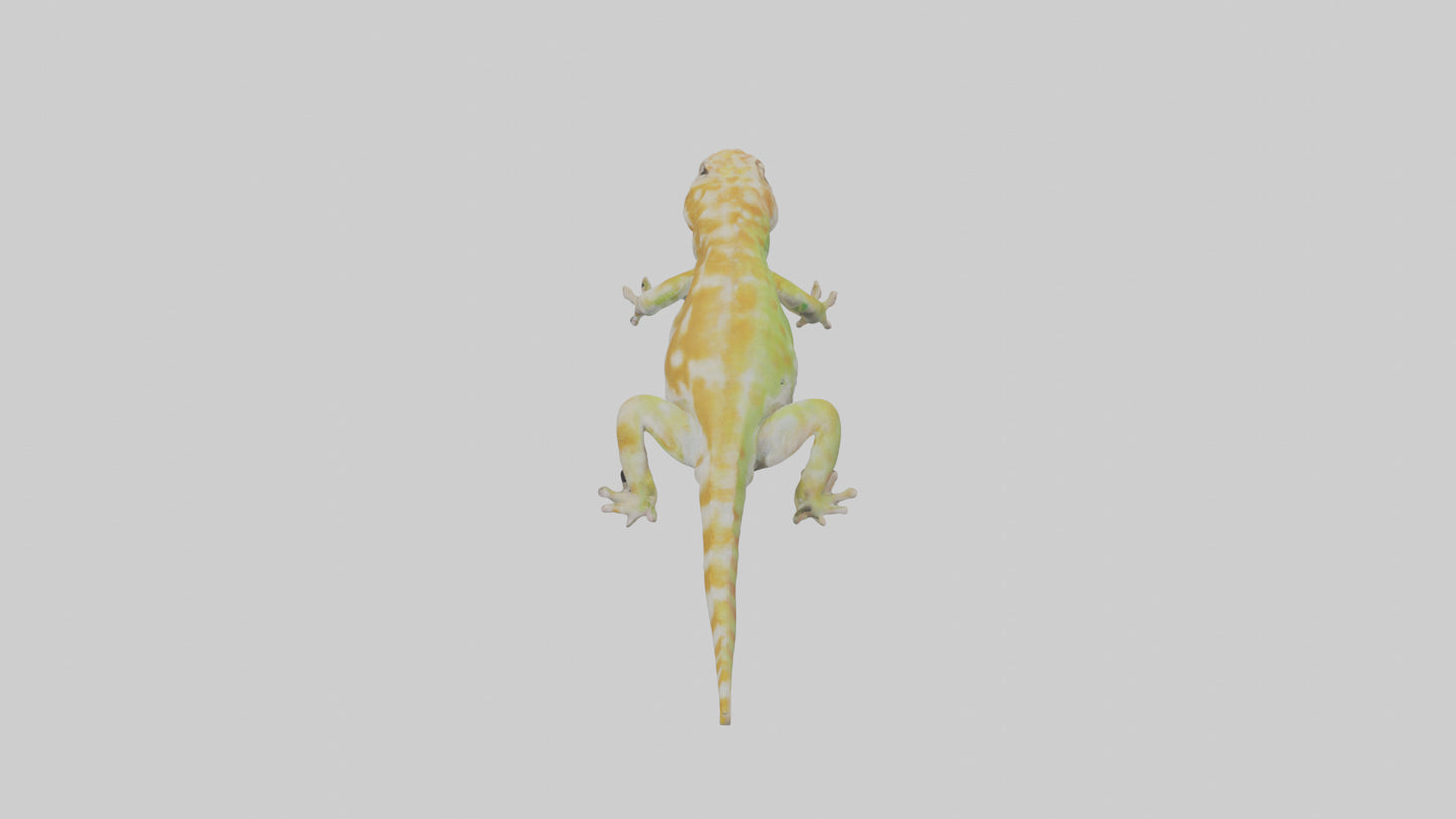 3D model Gecko climbing model VR / AR / low-poly