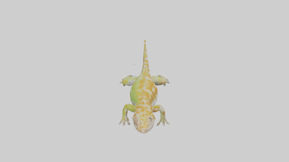 3D model Gecko climbing model VR / AR / low-poly