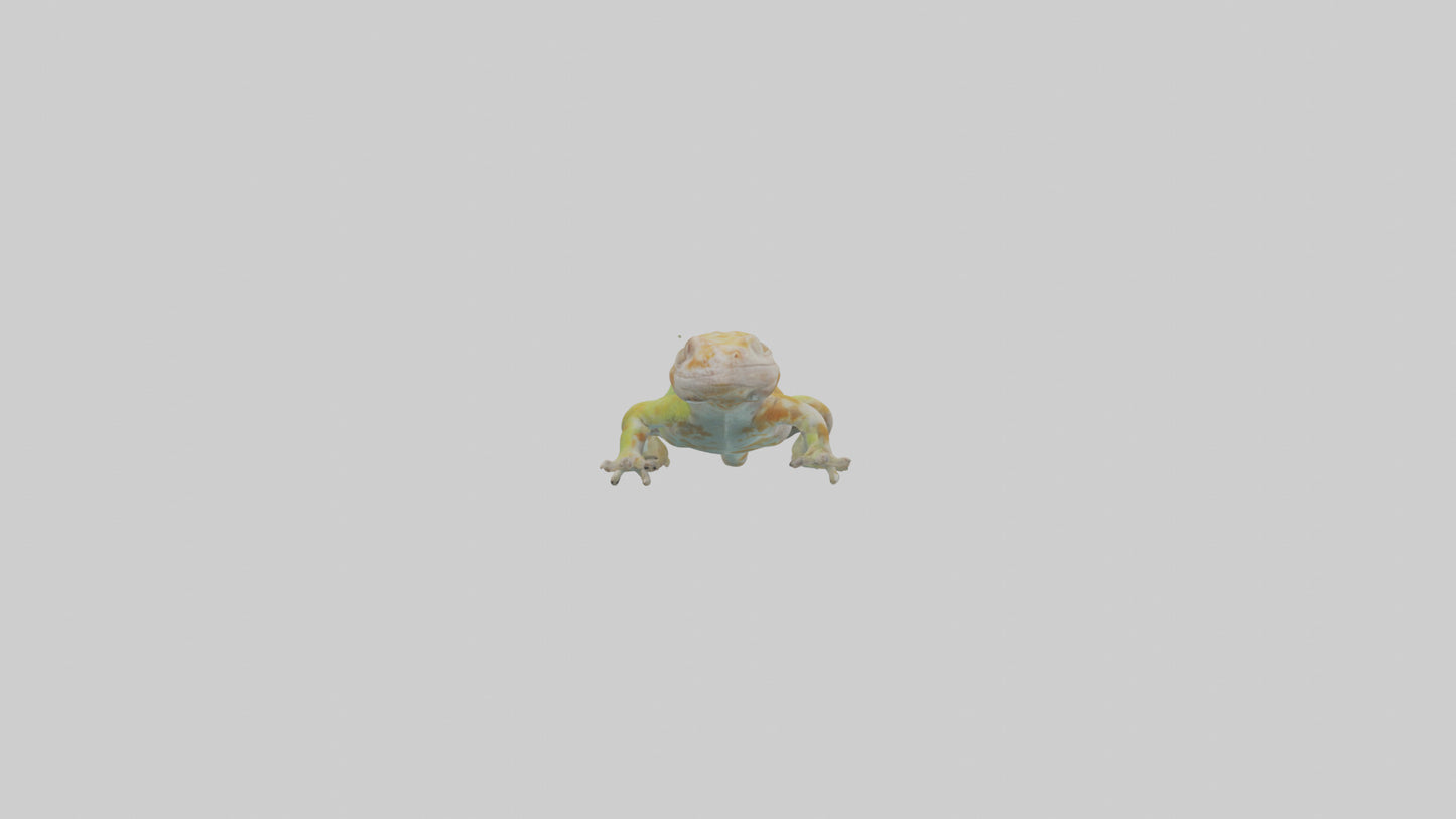 3D model Gecko climbing model VR / AR / low-poly