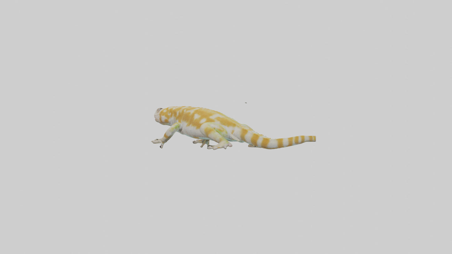 3D model Gecko climbing model VR / AR / low-poly