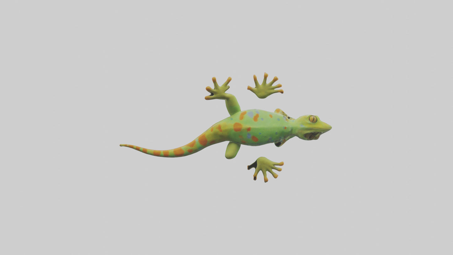 3D model Gecko climbing wall model VR / AR / low-poly