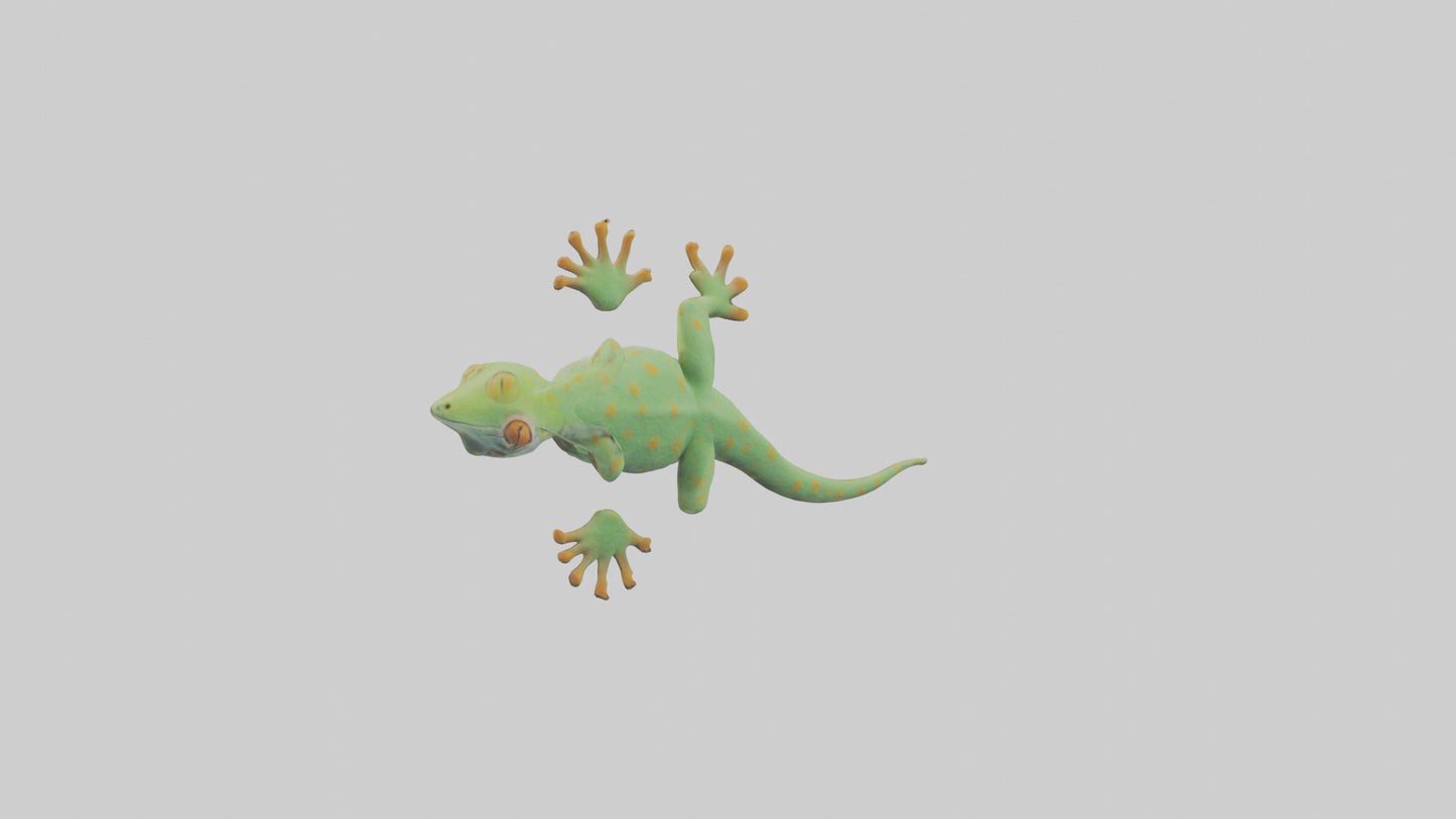 3D model Gecko climbing wall model VR / AR / low-poly