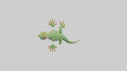 3D model Gecko climbing wall model VR / AR / low-poly