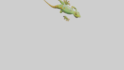 3D model Gecko climbing wall model VR / AR / low-poly