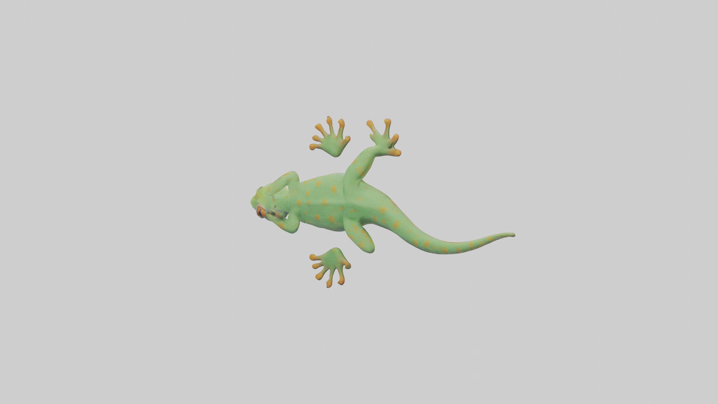 3D model Gecko climbing wall model VR / AR / low-poly