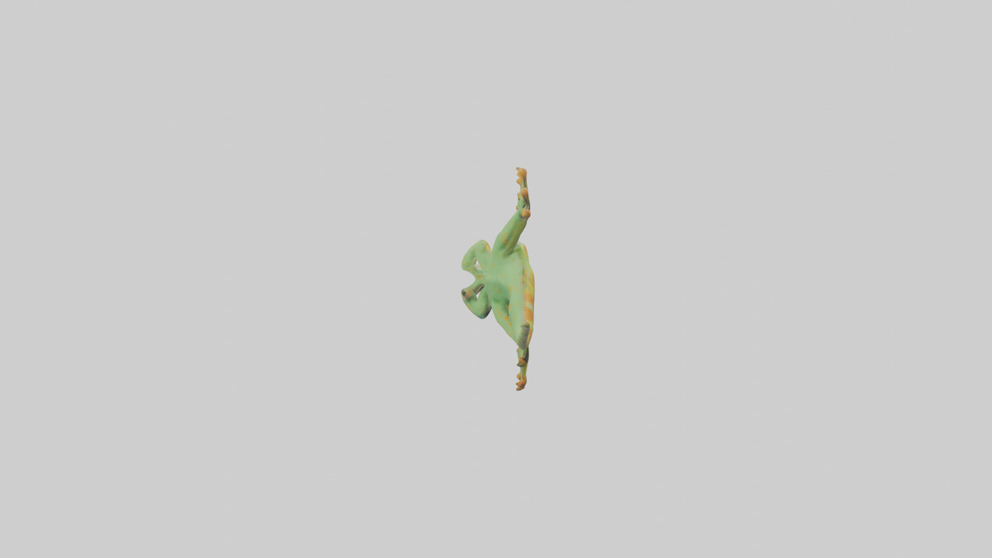 3D model Gecko climbing wall model VR / AR / low-poly