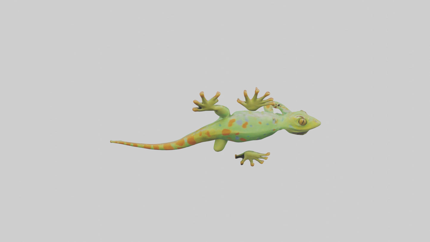 3D model Gecko climbing wall model VR / AR / low-poly