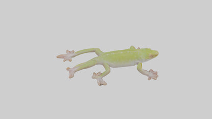 3D model Gecko Feet VR / AR / low-poly