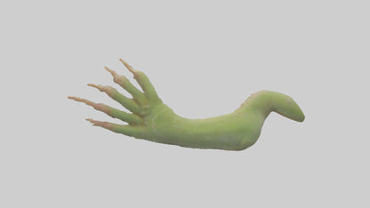 3D model Gecko Feet Model VR / AR / low-poly