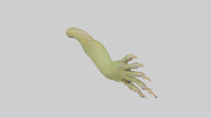 3D model Gecko Feet Model VR / AR / low-poly