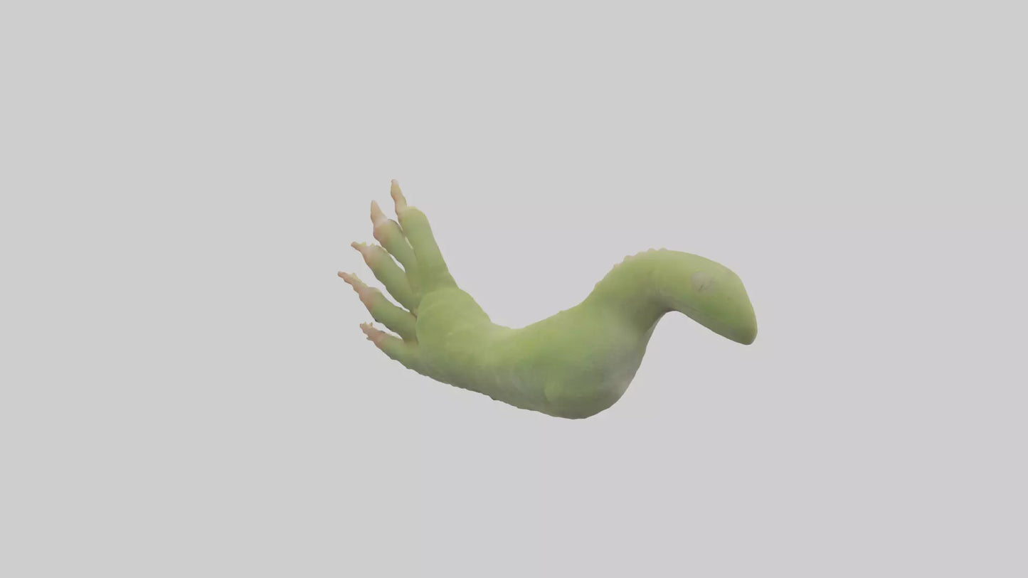 3D model Gecko Feet Model VR / AR / low-poly