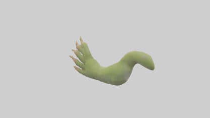 3D model Gecko Feet Model VR / AR / low-poly