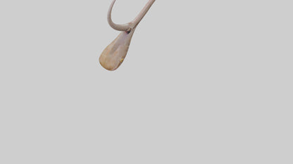 3D model Gecko Tongue VR / AR / low-poly