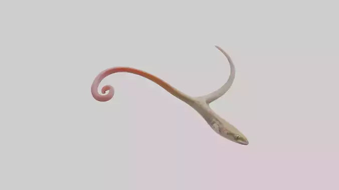 3D model Gecko Tongue VR / AR / low-poly
