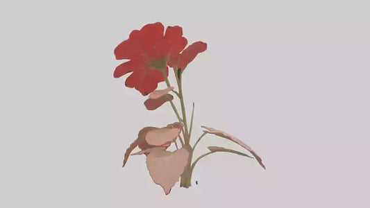 3D model Geranium model VR / AR / low-poly