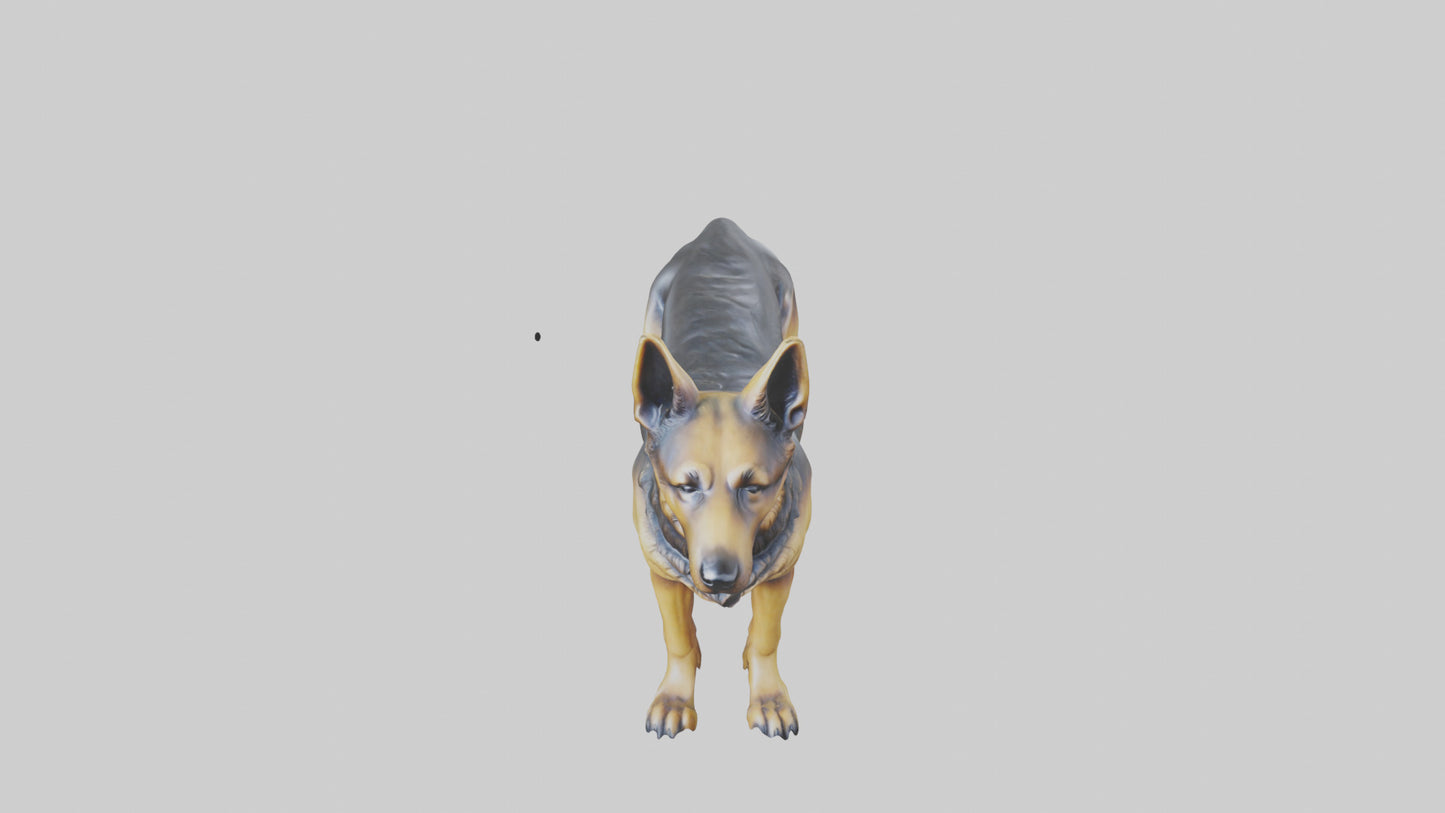 3D model German Shepherd statue model VR / AR / low-poly