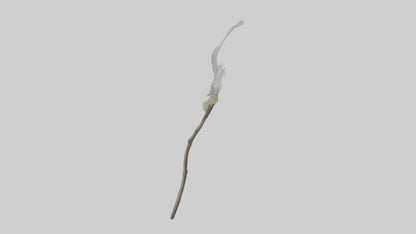 3D model Ghost Orchid model VR / AR / low-poly