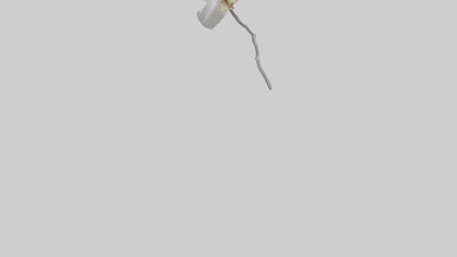 3D model Ghost Orchid model VR / AR / low-poly