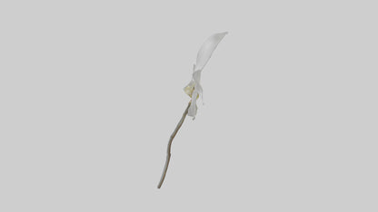 3D model Ghost Orchid model VR / AR / low-poly
