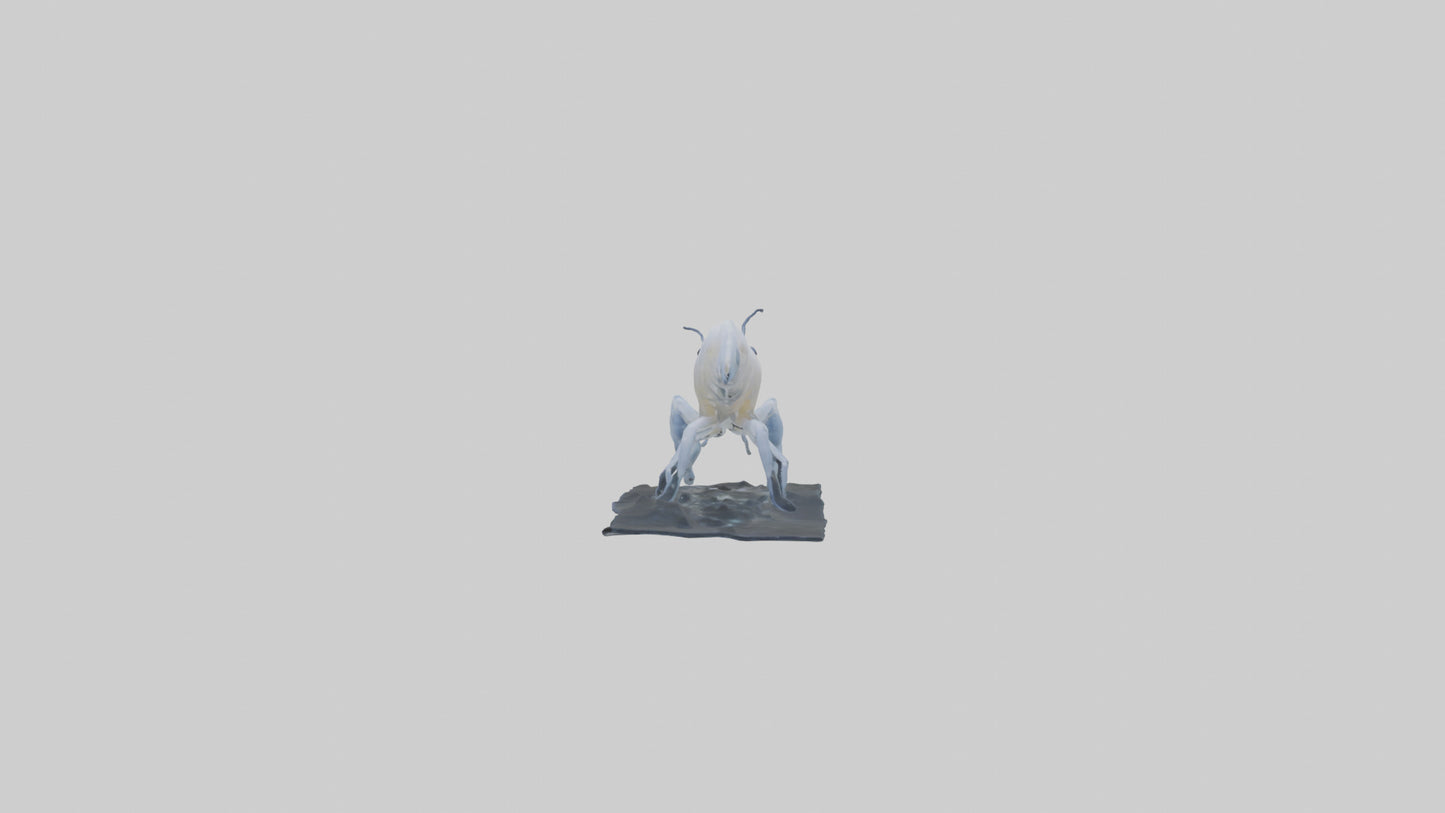3D model Ghost Shrimp hiding model VR / AR / low-poly