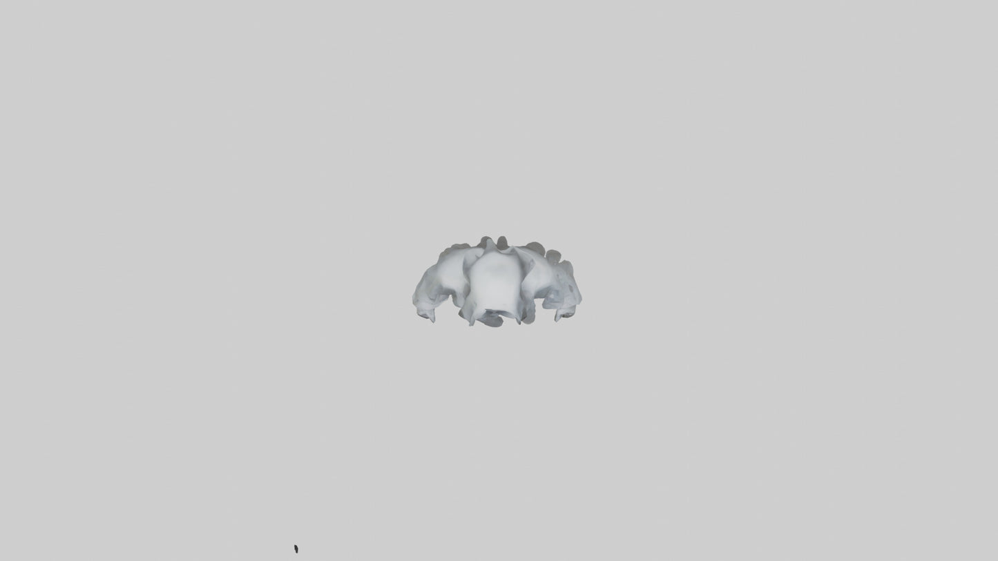 3D model Ghostly figure model VR / AR / low-poly