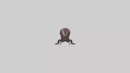 3D model Giant African Millipede crawling model VR / AR / low-poly